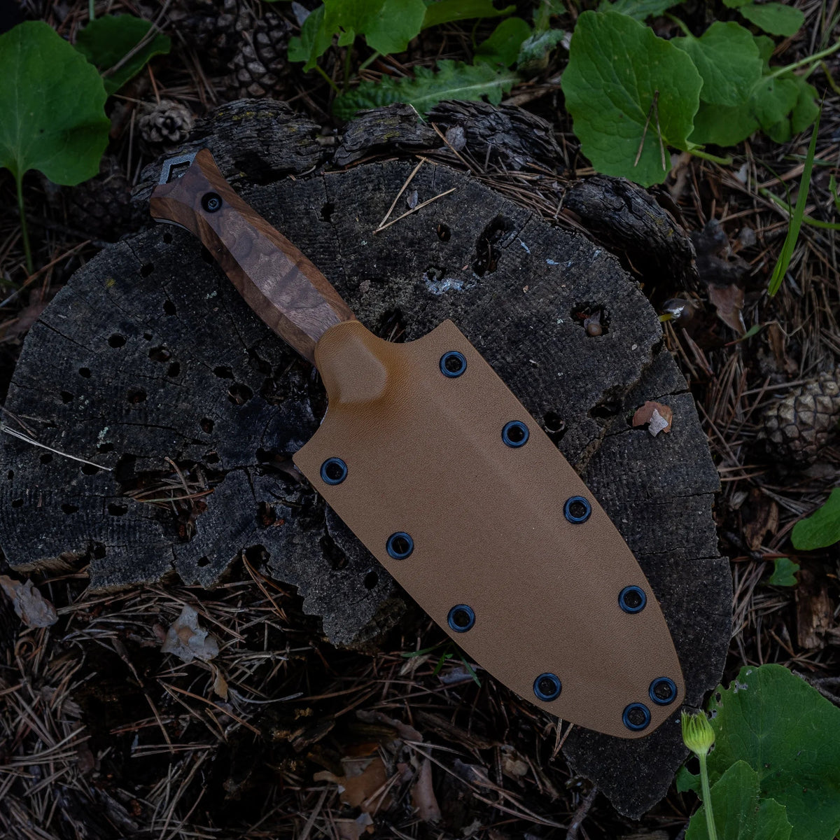 Saltuk Oluklu Bushcraft Serisi