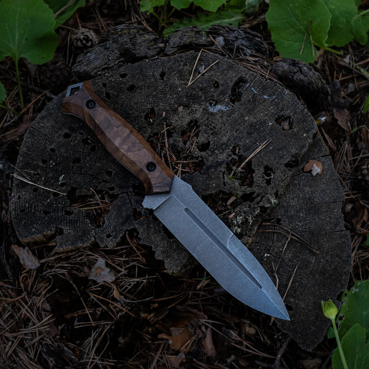 Saltuk Oluklu Bushcraft Serisi